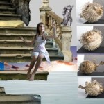 толкование сновидений