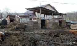 Российские поэты организовали свою "Спарту" под Харьковом