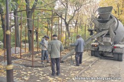 Талисманом "Металлиста" стал... хорек: животному строят дом и шьют форму