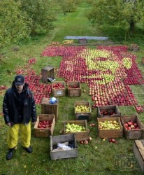 Художника упрекнули за то, что он создал портрет основателя Apple из «съедобных» яблок