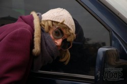 Харьковские актеры искали на улицах города настоящих героев