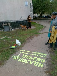 Определен победитель акции «Посади дерево»