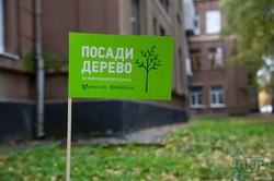 Определен победитель акции «Посади дерево»