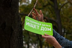 Определен победитель акции «Посади дерево»