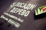 Определен победитель акции «Посади дерево»