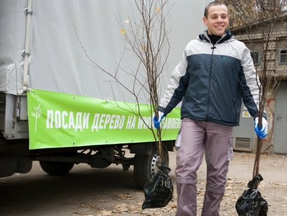 деревья,посади дерево