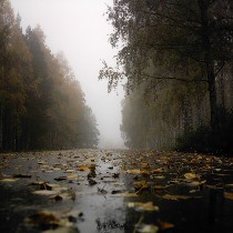 осень