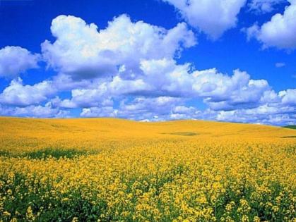 туризм,евро2012,украина