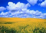 туризм,евро2012,украина