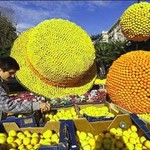 Фестиваль лимонов в Ментоне