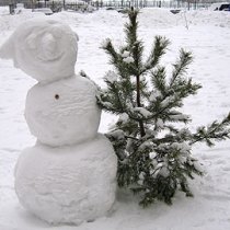 снег мороз