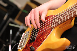 Animal ДжаZ выступили в Корове