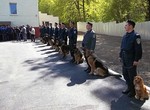Помогите найти похищенную собаку-спасателя!