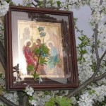 Празднуем Троицу: украшаем дом зеленью