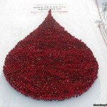 день донора крови