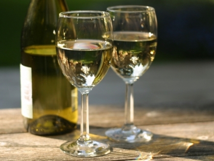 В In Vino пробовали экслюзив из Новой Зеландии