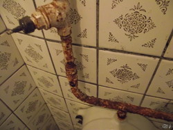 Туалет бля бедных – налево, для богатых – направо в Воронцовском дворце (ФОТО)