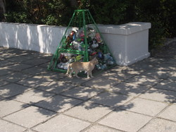 Кошки в Крыму. Куда мельче… и куда ласковее (ФОТО)