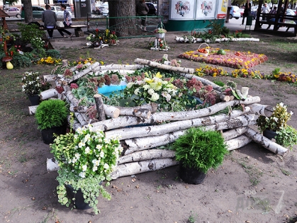 В саду Шевченко открылся фестиваль цветов