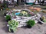 В саду Шевченко открылся фестиваль цветов