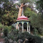 никитский ботанический сад