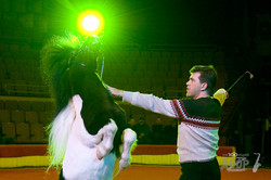 Харьковский цирк представит новую программу
