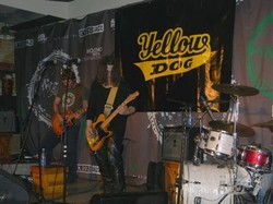 Yellow Dog «порвали» публику Pintagona