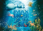 Харьковчане могут бесплатно ознакомиться с технологией IMAX