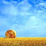 Прогноз погоды: жара возвращается