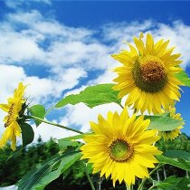 Прогноз погоды на 30 июля