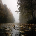 погода