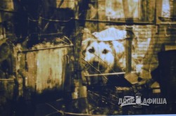 Сквозь призму ценностей. «Грехи и заповеди» глазами фотохудожника Олега Врагова