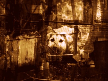 Сквозь призму ценностей. «Грехи и заповеди» глазами фотохудожника Олега Врагова