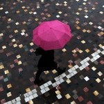 Дожди принесут потепление в Харьков