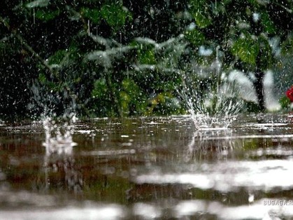 В Украине неделя начнется дождливо