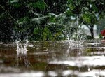 В Украине неделя начнется дождливо