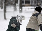Харьковчане устроят «Снежную битву»