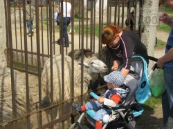 Открытие Харьковского зоопарка: животные переехали в летние квартиры