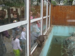 Открытие Харьковского зоопарка: животные переехали в летние квартиры