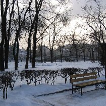 Крутые морозы отступают: прогноз погоды в Украине