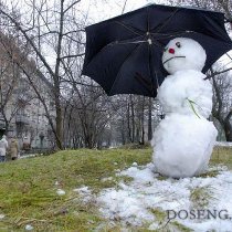 погода