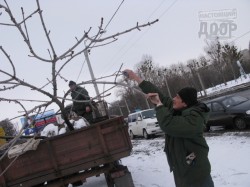 Китанин и Андреев поработали лопатами на Полтавском шляхе