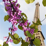 За самый «уродливый» символ Парижа