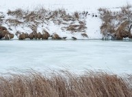 В музее им. Клавдии Шульженко откроется выставка нереальных пейзажей