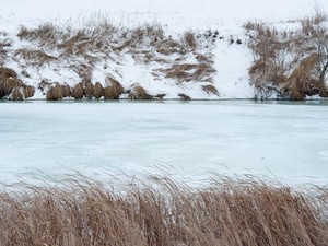 В музее им. Клавдии Шульженко откроется выставка нереальных пейзажей