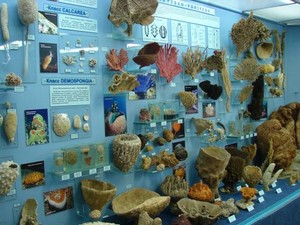 Куда пойти сегодня в Харькове
