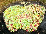 Под Харьковом пройдет «яблочный» фестиваль