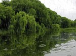 Погода в Украине на выходные, 19-20 июля
