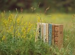 Харьковская Free space library приглашает на литературный вечер