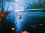 Прогноз погоды на четверг, 25 сентября